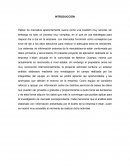 Proyecto SIM y su introduccion