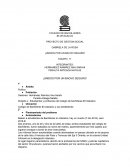 PROYECTO DE GESTION SOCIAL