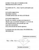 Estructura de un modelo de programacion