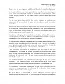Ensayo sobre los Aportes para el Análisis de la Situación Ambiental en Guatemala.