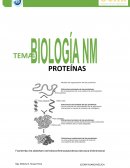 Resumen - Proteinas