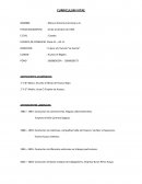 Un nuevo curriculum vitae, ejemplo