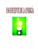 RECURSO ENERGÍA La empresa utiliza para el desarrollo de su proceso productivo Energía eléctrica y Gas Natural