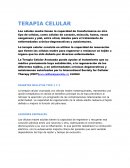 Terapia celular DIABETES MELLITUS TIPO 1 Y 2