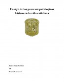 Ensayo de los procesos psicológicos básicos en la vida cotidiana