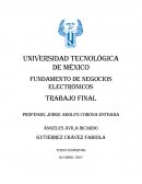 Fundamento de Negocios Electrónicos