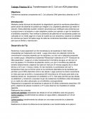 Transformación de E. Coli con ADN plasmídico