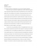 Los problemas que México está enfrentando son los que mueven la política actualmente