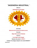 Aplicación de la teoría de sistema suave