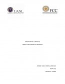 APRESIACION DE LO ARTISTICO - PRODUCTO INTEGRADOR