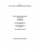 UN BALANCE HÍDRICO Y MOVIMIENTO DE AGUAS SUBTERRANEAS