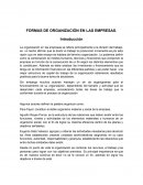 FORMAS DE ORGANIZACIÓN EN LAS EMPRESAS.