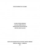 FUERO ADHERENTE EN COLOMBIA