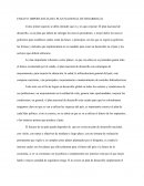 EL ENSAYO: IMPORTANCIA DEL PLAN NACIONAL DE DESARROLLO