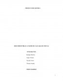 PROYECTO DE QUIMICA BIOCOMBUSTIBLES A PARTIR DE CASCARAS DE FRUTAS