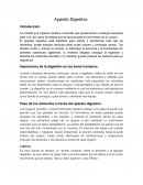 Aparato Digestivo. Introducción