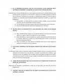 Los hijos del director ensayo