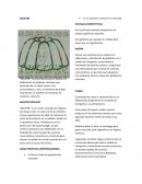 Ejemplo de una empresa Gelatin