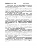 Análisis del caso DORE – DORE