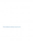 Caso superior manufacturing company