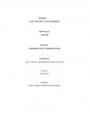 ¿Que tipo de administracion se aplica? Identificacion y justificacion de principios de Fayol