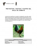 PRE–POSTURA, POSTURA Y PUNTEO DEL GALLO DE COMBATE