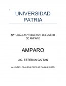 ENSAYO ACERCA DE LA NATURALEZA Y OBJETIVO DEL JUICIO DE AMPARO
