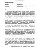 Como es la Planificacion biologia genetica y sociedad