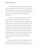 DERECHOS DE LOS NIÑOS ENSAYO