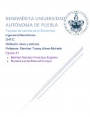 Reflexión video y lecturas