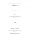 RESUMEN ESCRITO EL CEREBRO