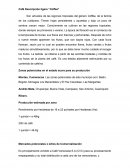 Son arbustos de las regiones tropicales del género Coffea, de la familia de los rubiáceos. Tienen hojas persistentes y opuestas y bajo un poco de sombra crecen mejor