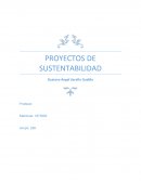 Proyectos de sustentabilidad.