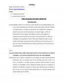 TRES MUJERES DECIDEN ABORTAR