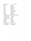 Vocabulario básico de francés