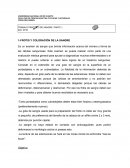 TRABAJO PRÁCTICO DE SANGRE.