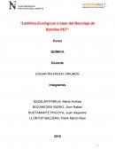 Ladrillos Ecológicos a base del Reciclaje de Botellas PET