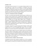 Ensayo Pastores Dabo Vobis