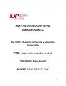 TEMA: Ensayo sobre el cambio climático