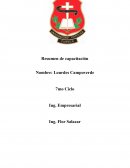 Resumen de capacitación