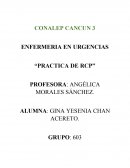 Reporte de practica 2 principios básicos de R.C.P.