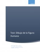 Informe del Test DFH
