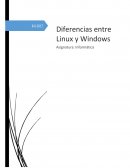 Apuntes diferencias de Linux y Windows