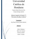 Informe Grupal de la Practica “Movimiento Rectilíneo Uniforme”