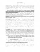 Cirrosis Hepática. Clasificación: La asociación internacional para el estudio del hígado