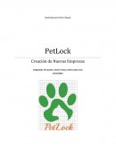 PetLock Creación de Nuevas Empresas
