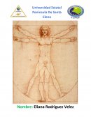 Observacion de fosiles en el museo amantes de sumpa