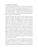 LAS MEJORES TRANSFORMACIONES DE LA PLUSVALIA EN GANANCIA, INTERES Y RENTA.