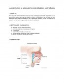 ADMINISTRACIÓN DE MEDICAMENTOS OROFARÍNGEOS O BUCOFARÍNGEOS