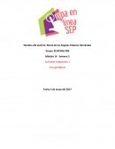 Eras geologicas. Características físicas
